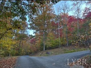 2 Cottage Charm Road, Goode, Virginia image 12
