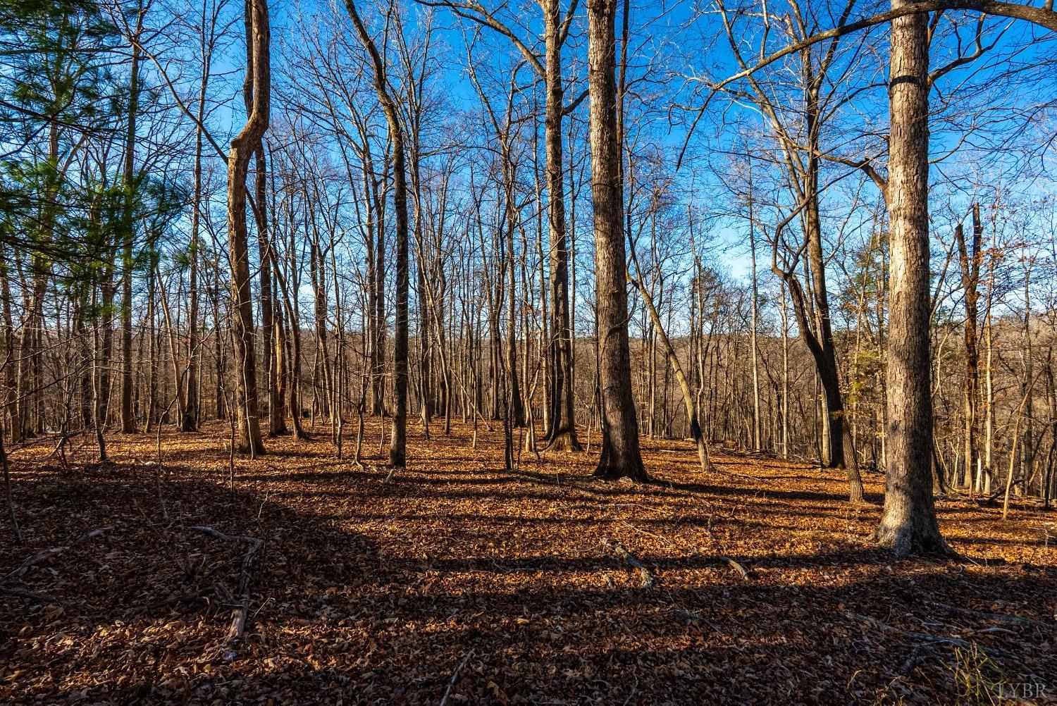 2 Cottage Charm Road, Goode, Virginia image 24