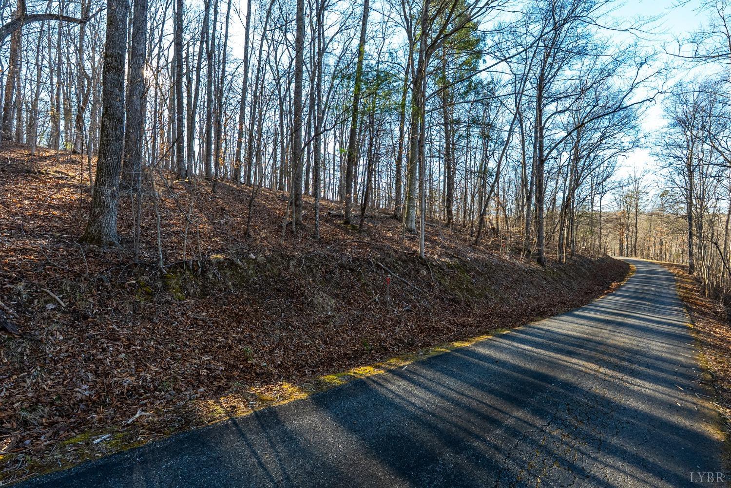 2 Cottage Charm Road, Goode, Virginia image 19