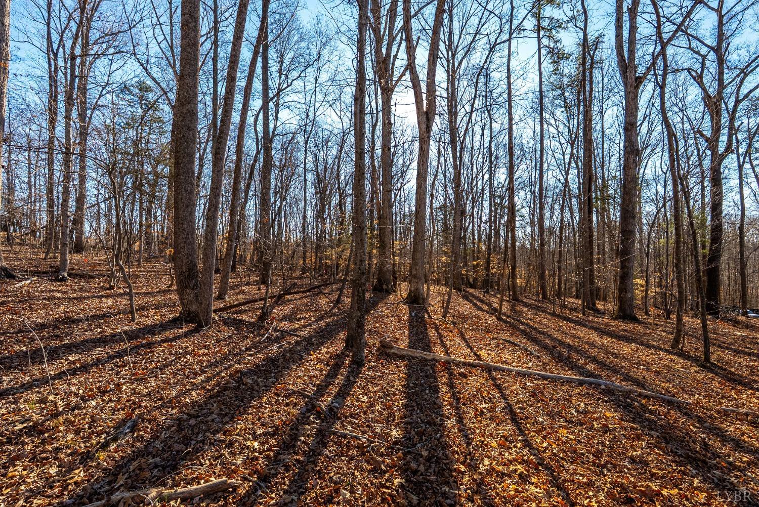2 Cottage Charm Road, Goode, Virginia image 29