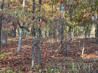 2 Cottage Charm Road, Goode, Virginia image 9