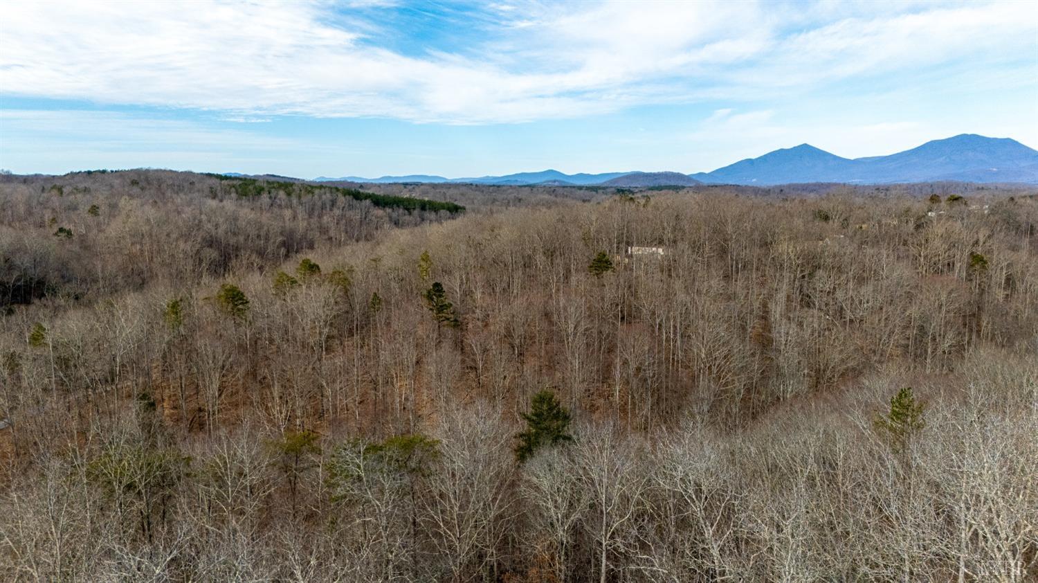 2 Cottage Charm Road, Goode, Virginia image 5