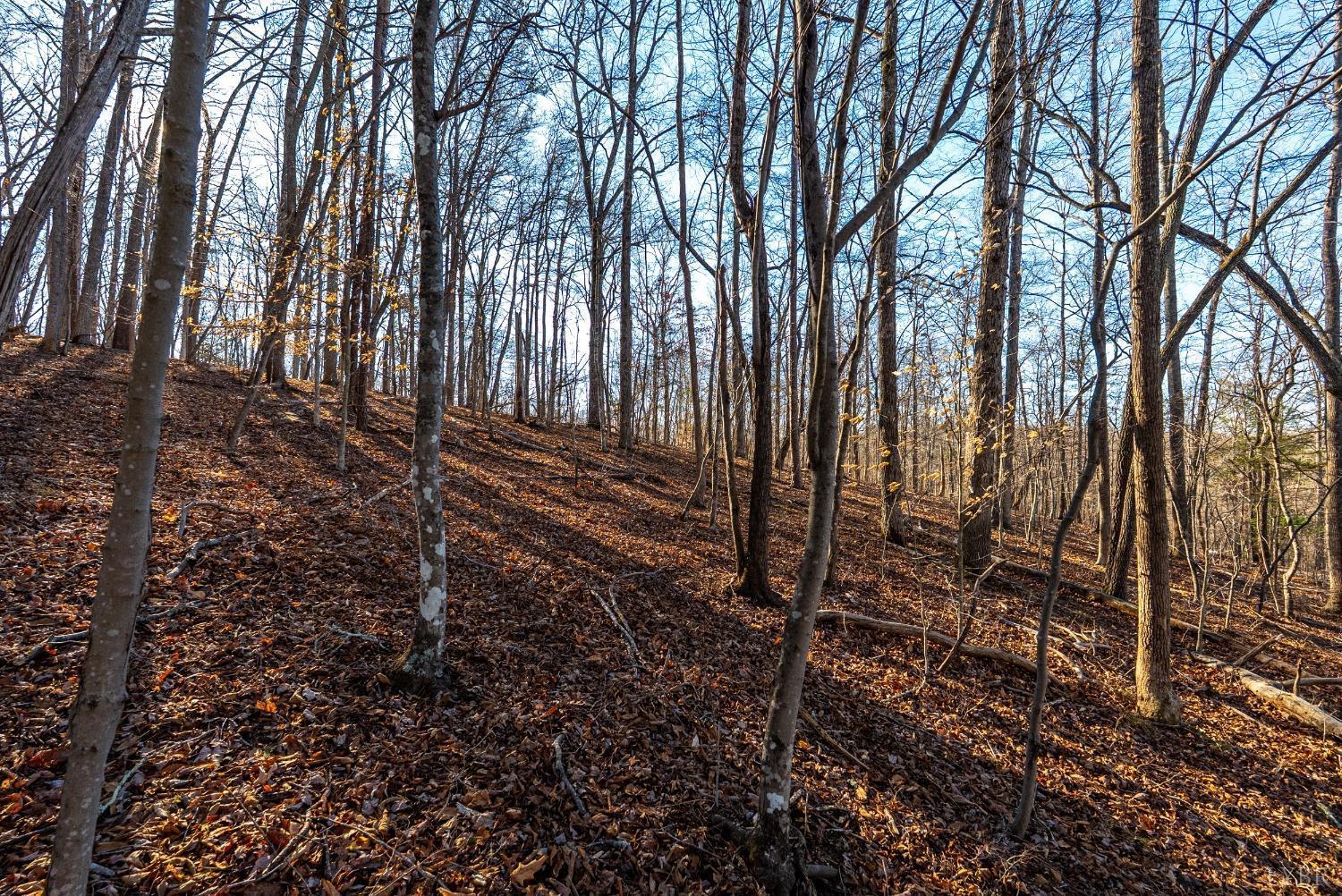 2 Cottage Charm Road, Goode, Virginia image 31