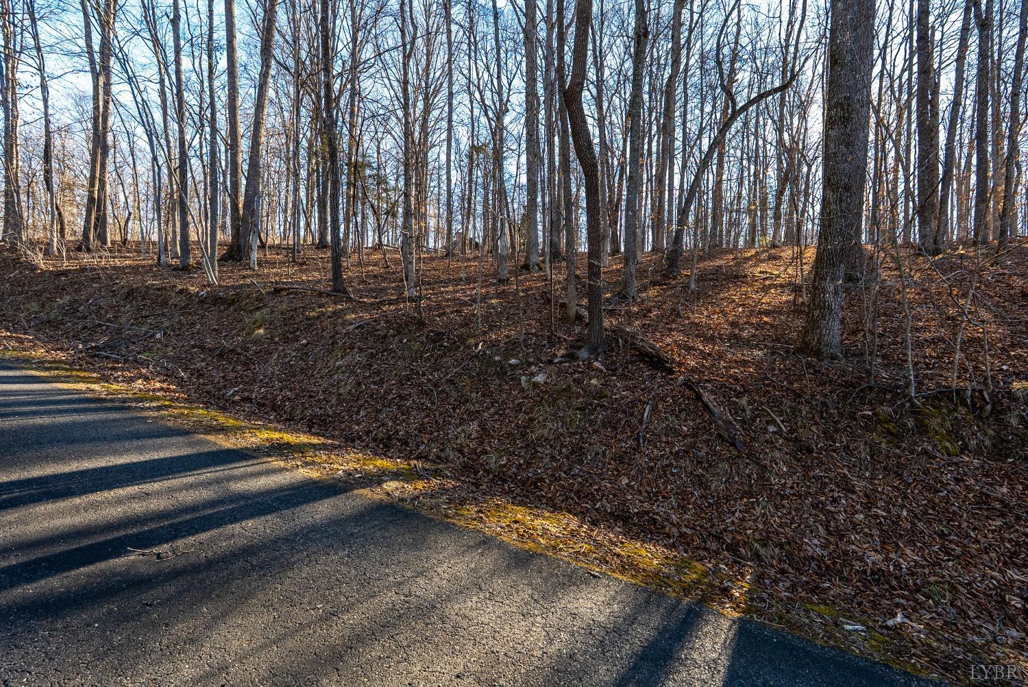 2 Cottage Charm Road, Goode, Virginia image 17