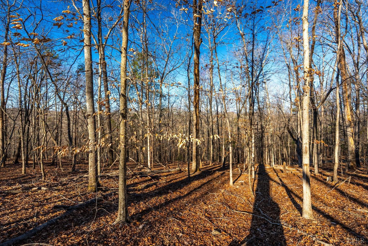 2 Cottage Charm Road, Goode, Virginia image 21