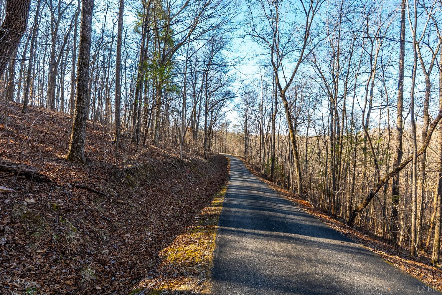 2 Cottage Charm Road, Goode, Virginia image 20