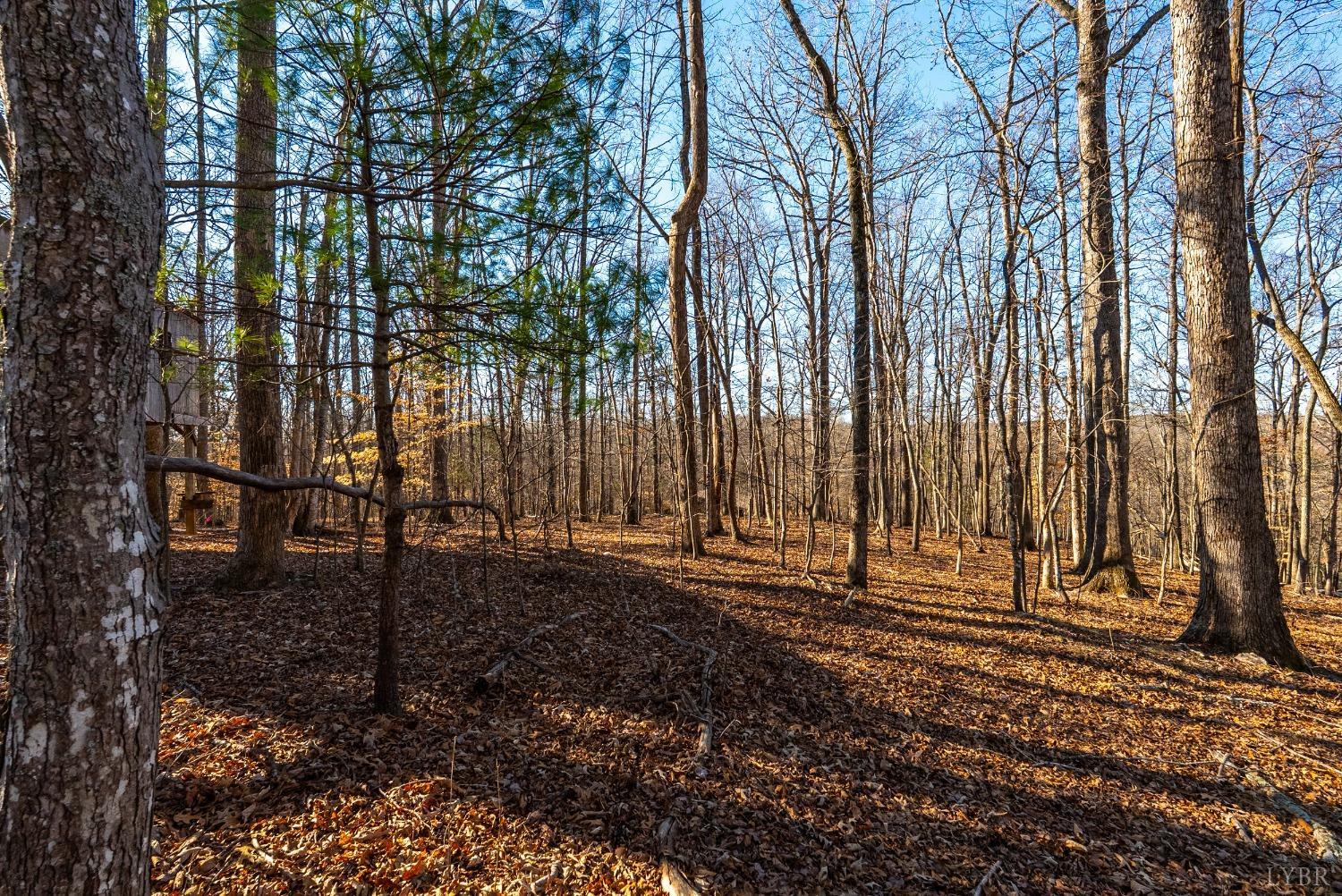 2 Cottage Charm Road, Goode, Virginia image 23