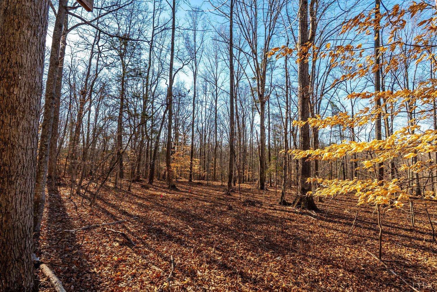 2 Cottage Charm Road, Goode, Virginia image 28