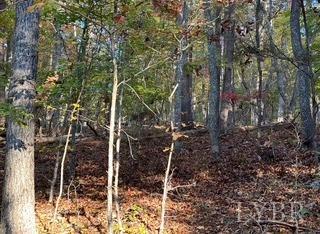 2 Cottage Charm Road, Goode, Virginia image 13
