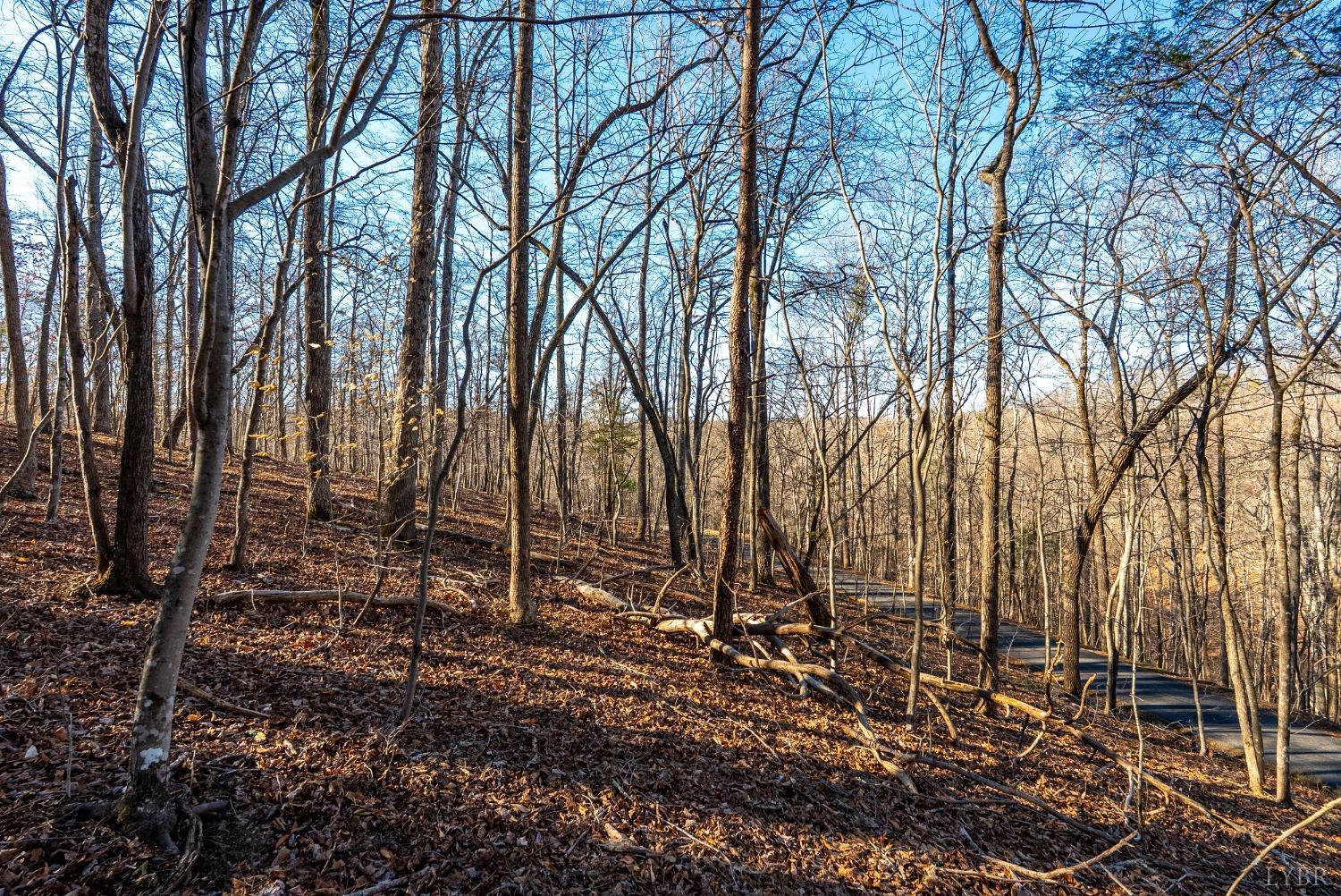 2 Cottage Charm Road, Goode, Virginia image 30