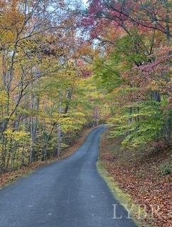 2 Cottage Charm Road, Goode, Virginia image 11