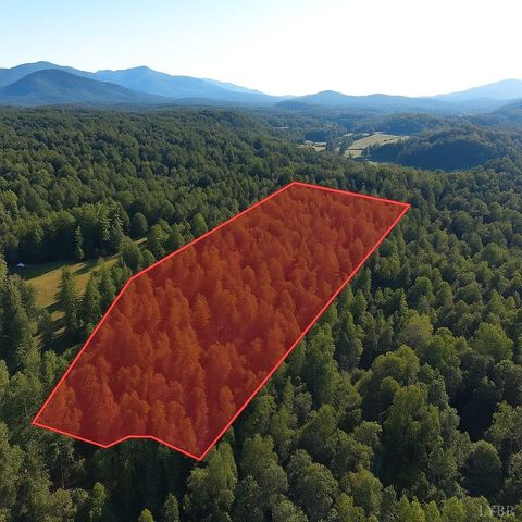 Photo of 0 VL Dancing Creek Road, Monroe, VA 24574 (MLS # 362905)