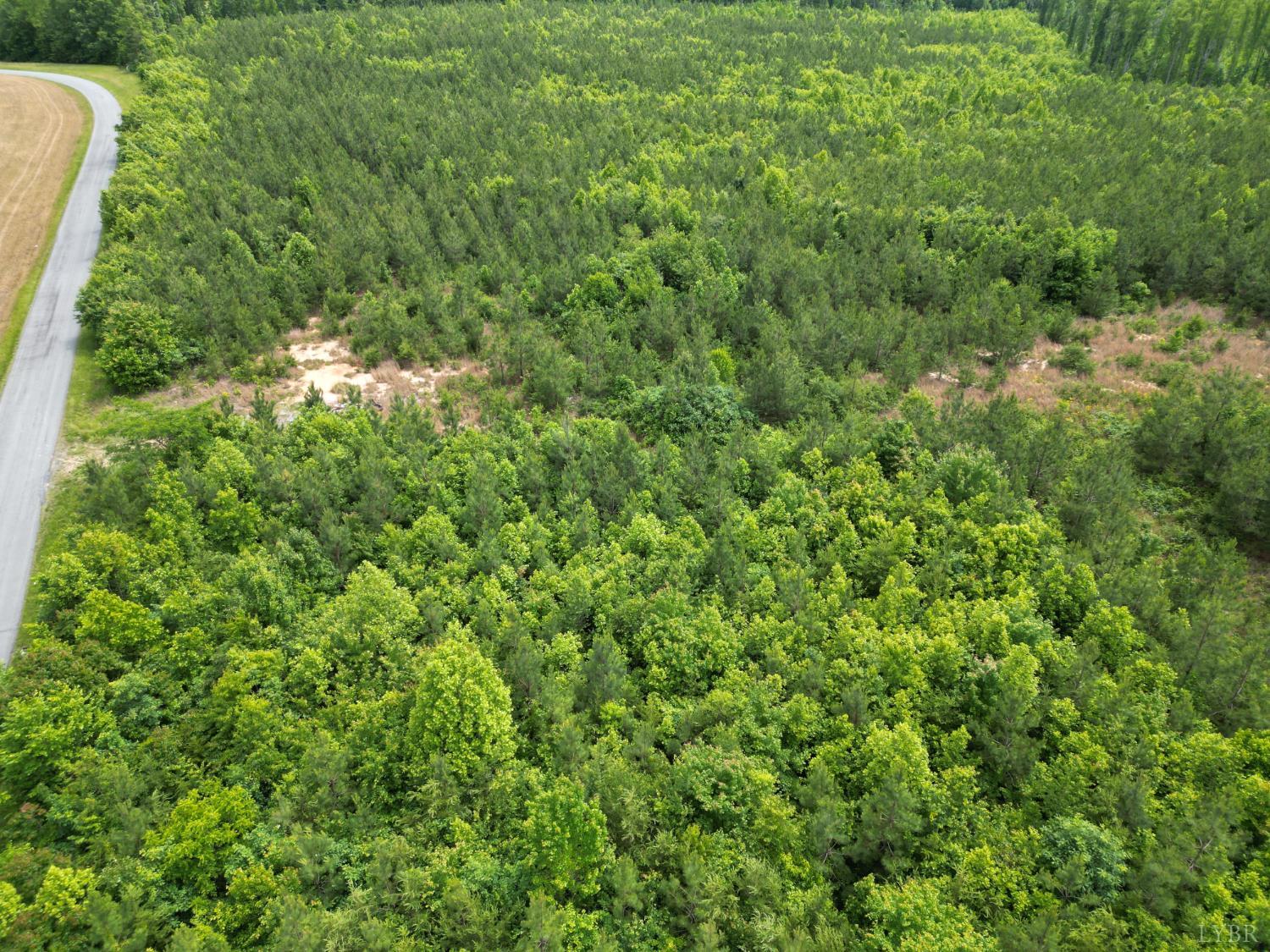 2085 Felix Road, Nathalie, Virginia image 5