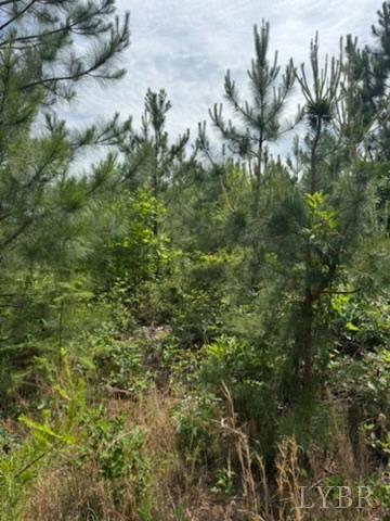 2085 Felix Road, Nathalie, Virginia image 15