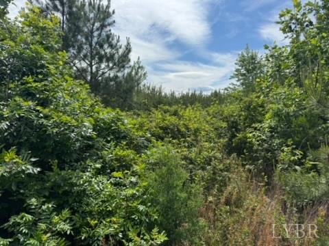 2085 Felix Road, Nathalie, Virginia image 14