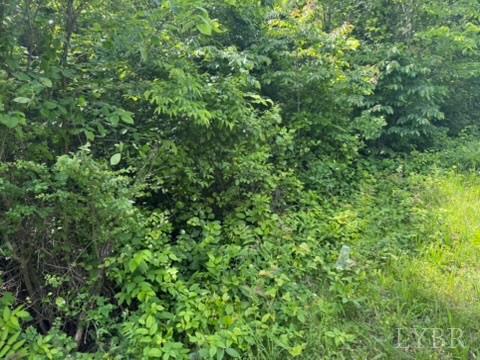 2085 Felix Road, Nathalie, Virginia image 16