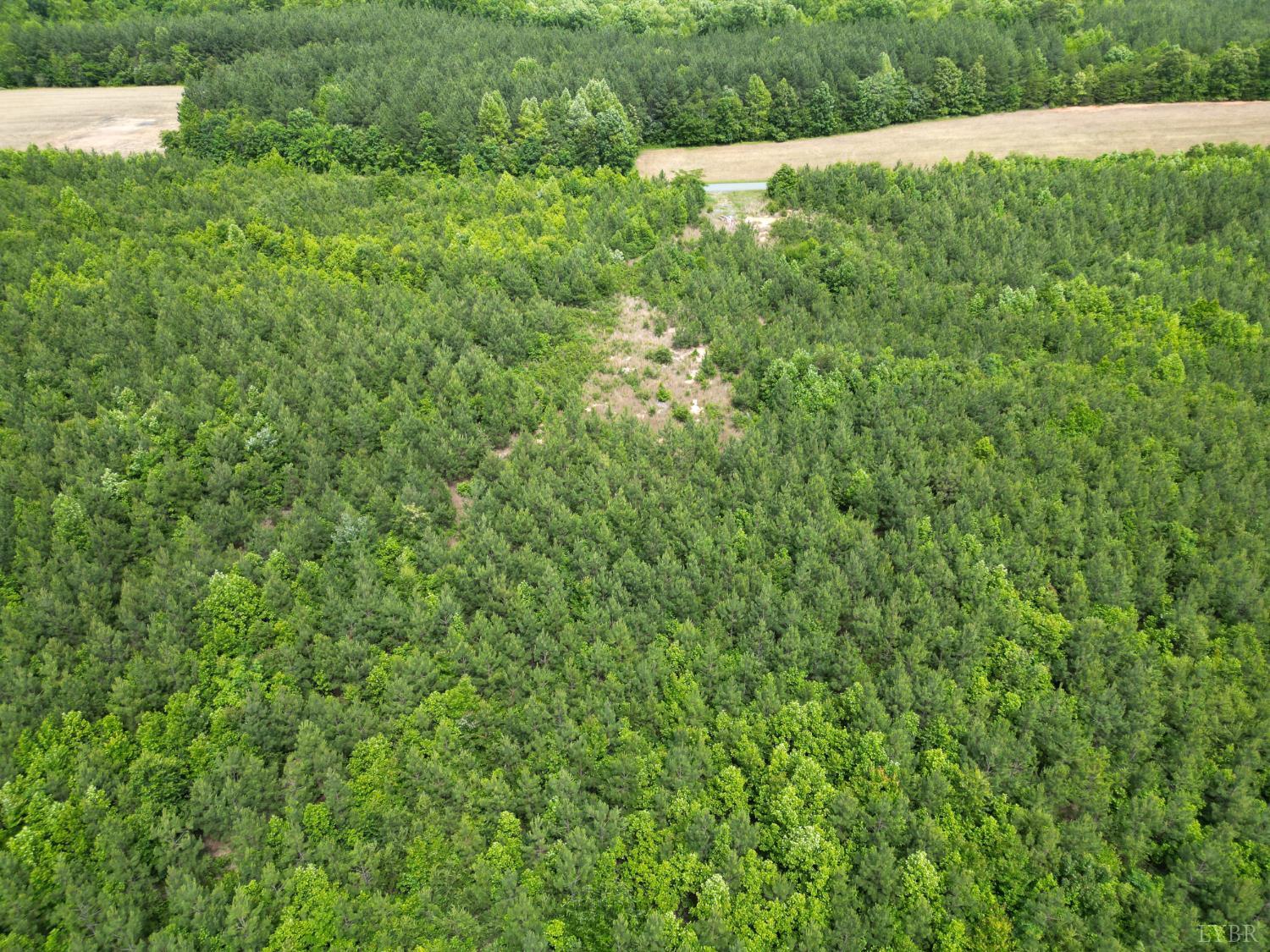 2085 Felix Road, Nathalie, Virginia image 1