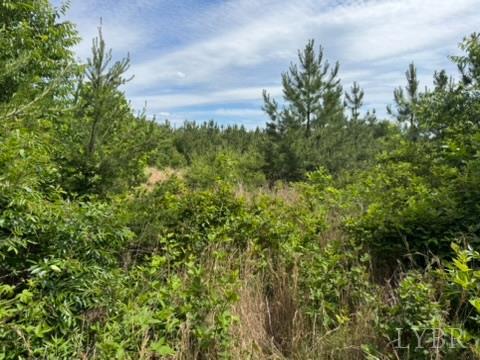 2085 Felix Road, Nathalie, Virginia image 13