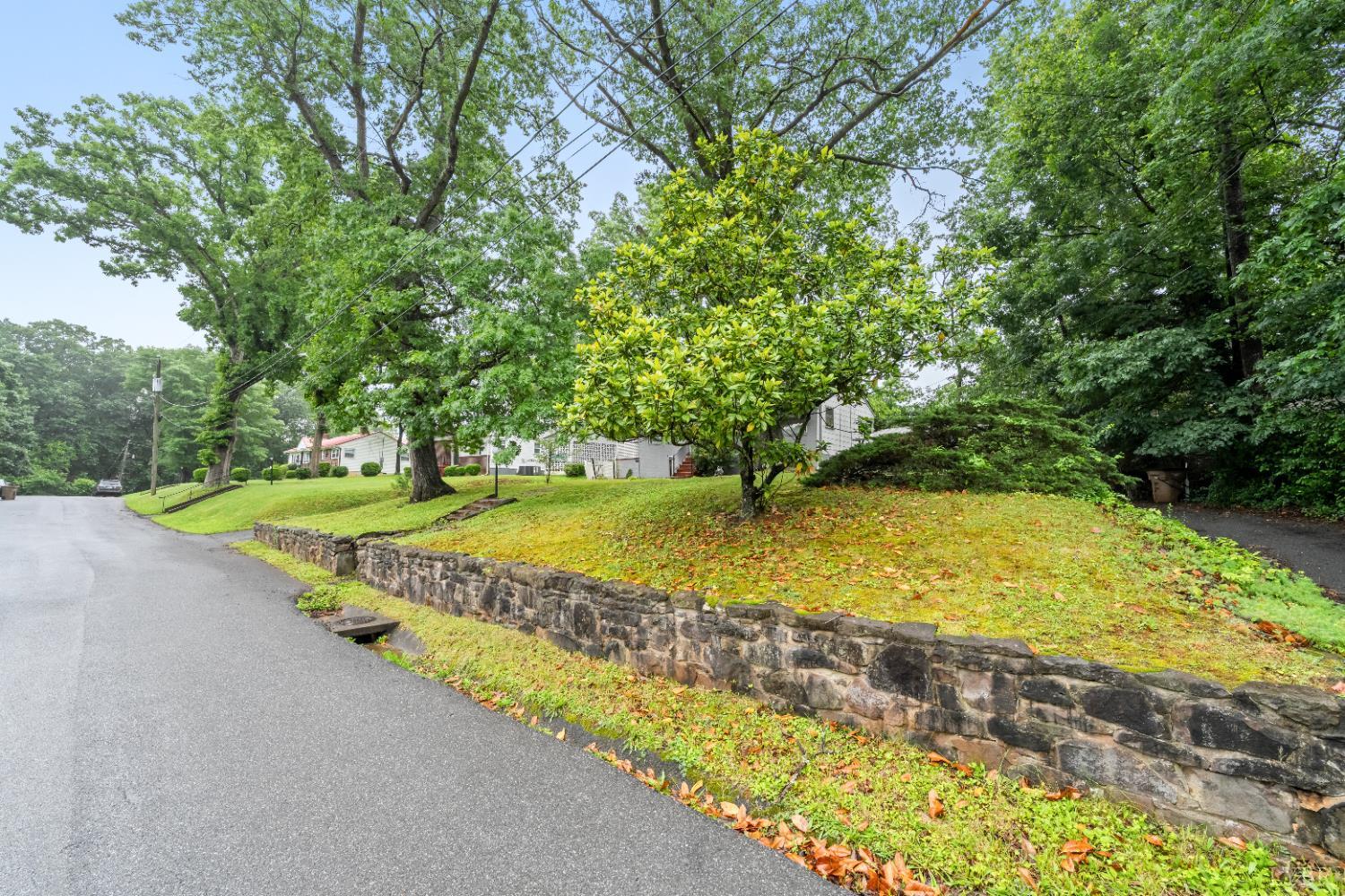 1703 Dale Avenue, Altavista, Virginia image 40