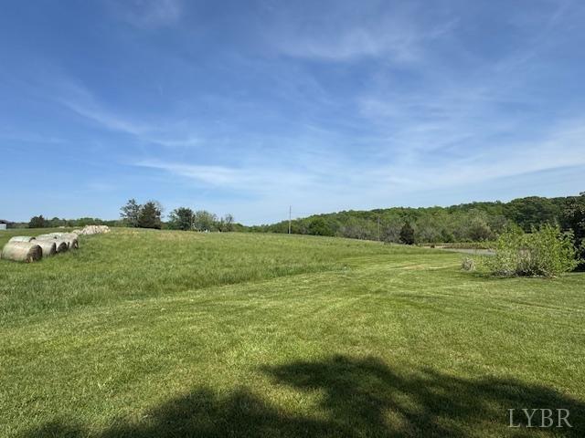 259 Vermillion Rd Rd, Appomattox, Virginia image 19