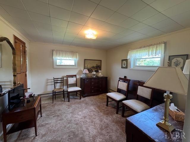 259 Vermillion Rd Rd, Appomattox, Virginia image 7