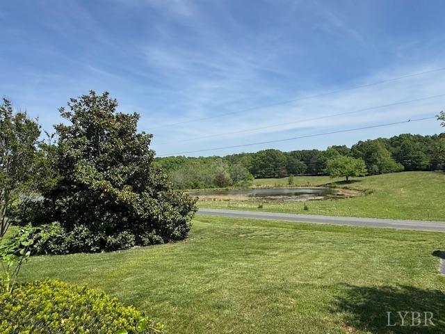 259 Vermillion Rd Rd, Appomattox, Virginia image 28