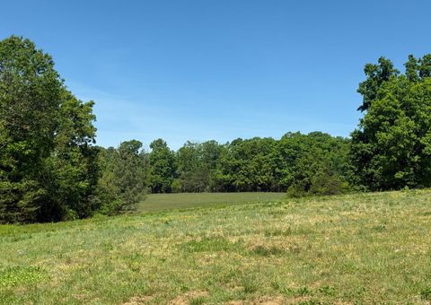 Tiny photo for 9009 Stonewall Road, Appomattox, VA 24522 (MLS # 366142)