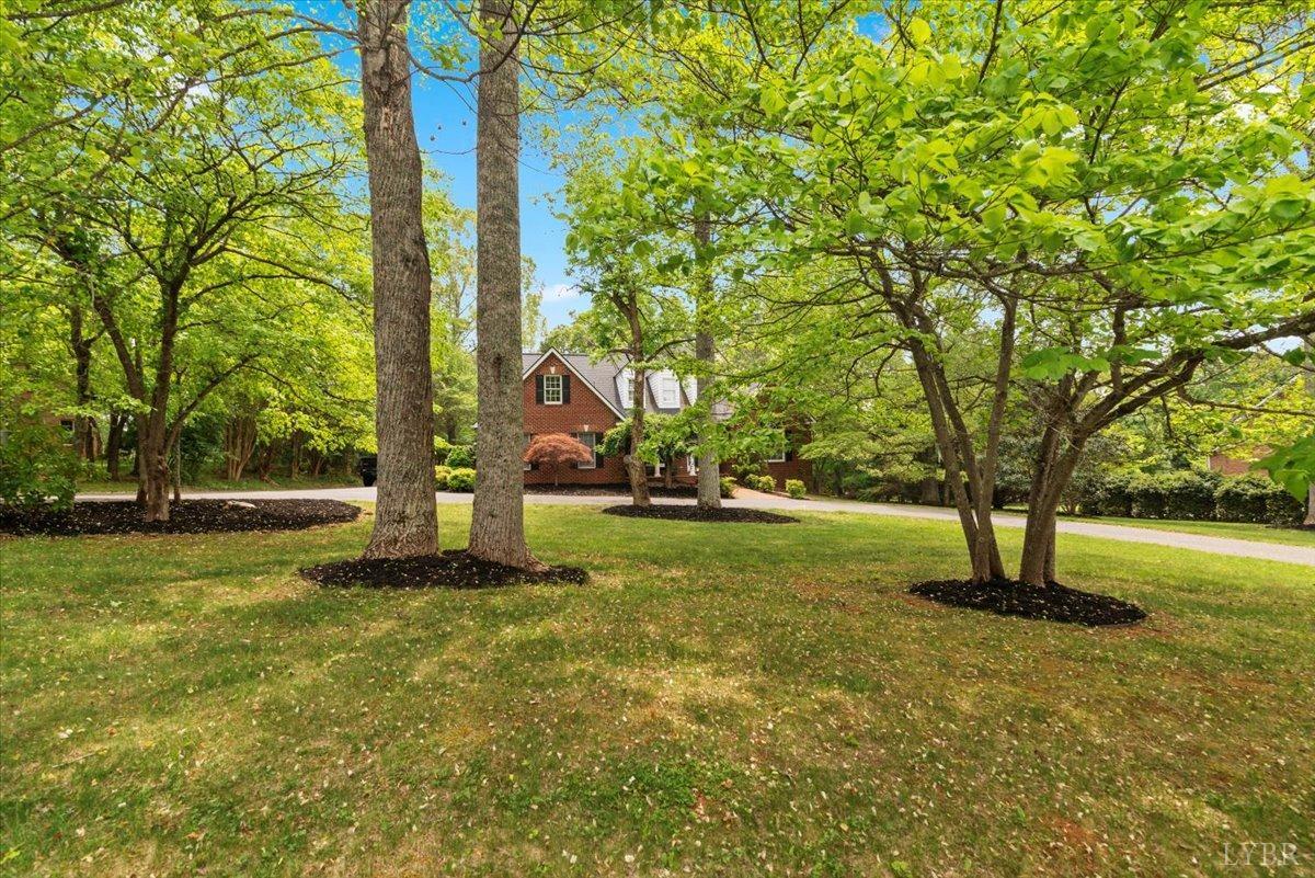 1244 Thompson Lane, Forest, Virginia image 4