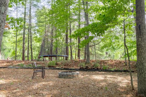 Tiny photo for 1103 Ivy Pl PL, Forest, VA 24551 (MLS # 366253)