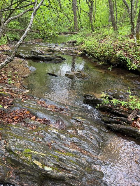 Tiny photo for 0 James River Road, Appomattox, VA 24522 (MLS # 366537)