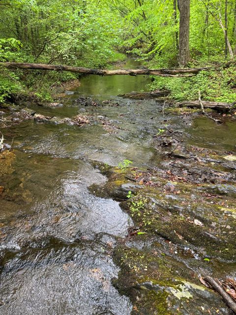Tiny photo for 0 James River Road, Appomattox, VA 24522 (MLS # 366537)