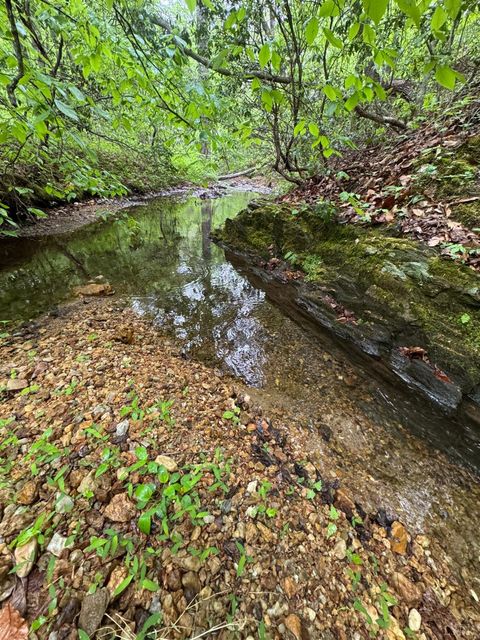 Tiny photo for 0 James River Road, Appomattox, VA 24522 (MLS # 366537)