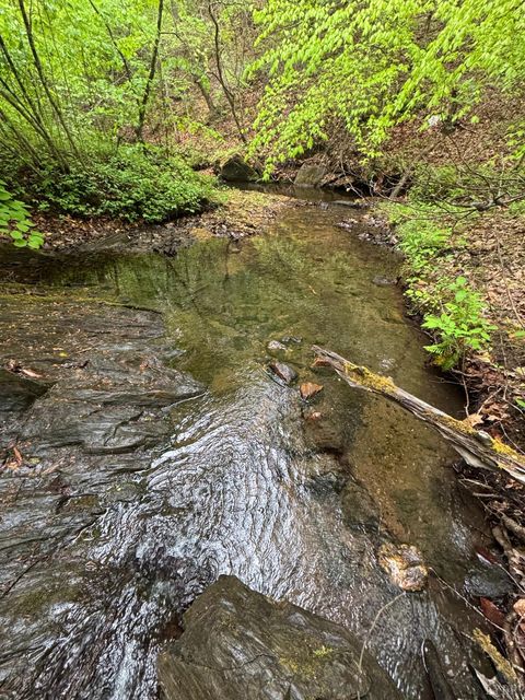 Photo of 0 James River Road, Appomattox, VA 24522 (MLS # 366537)