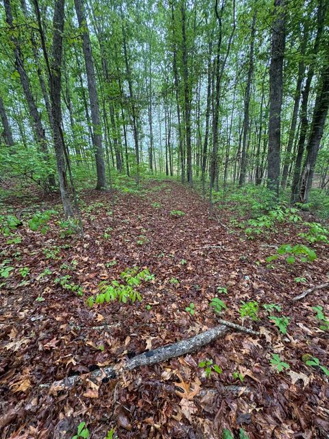Tiny photo for 0 James River Road, Appomattox, VA 24522 (MLS # 366537)