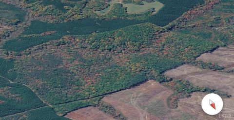 Tiny photo for 0 James River Road, Appomattox, VA 24522 (MLS # 366537)
