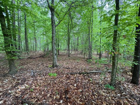 Tiny photo for 0 James River Road, Appomattox, VA 24522 (MLS # 366537)