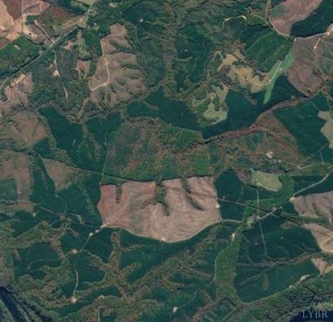 Tiny photo for 0 James River Road, Appomattox, VA 24522 (MLS # 366537)