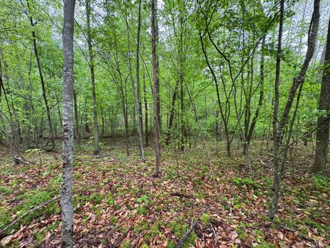 Tiny photo for 0 James River Road, Appomattox, VA 24522 (MLS # 366537)