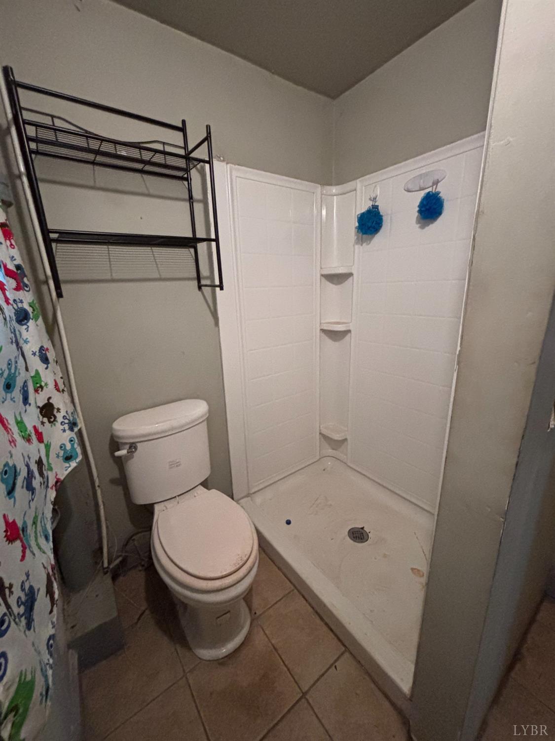 2518 Carter Street, Lynchburg, Virginia image 10