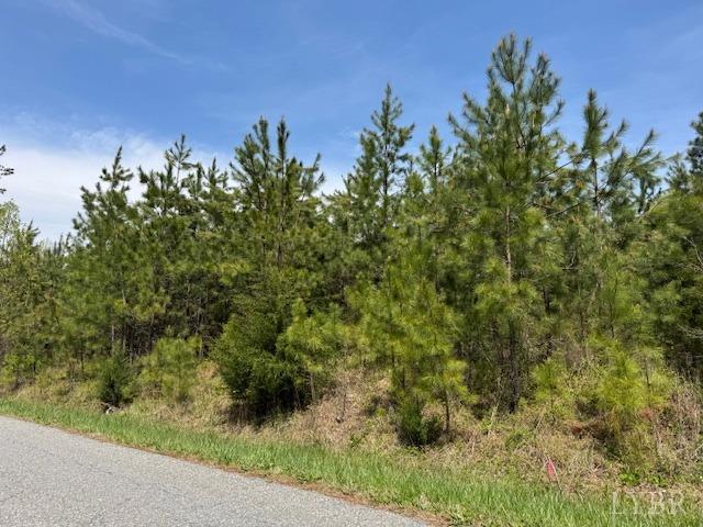2 Stage Rd, Concord, Virginia image 4