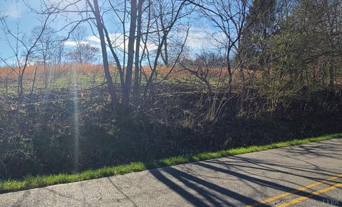 Tiny photo for 0 Cifax Road, Goode, VA 24556 (MLS # 365170)