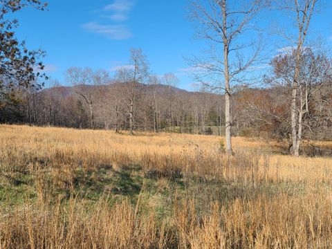 Tiny photo for 0 Cifax Road, Goode, VA 24556 (MLS # 365170)
