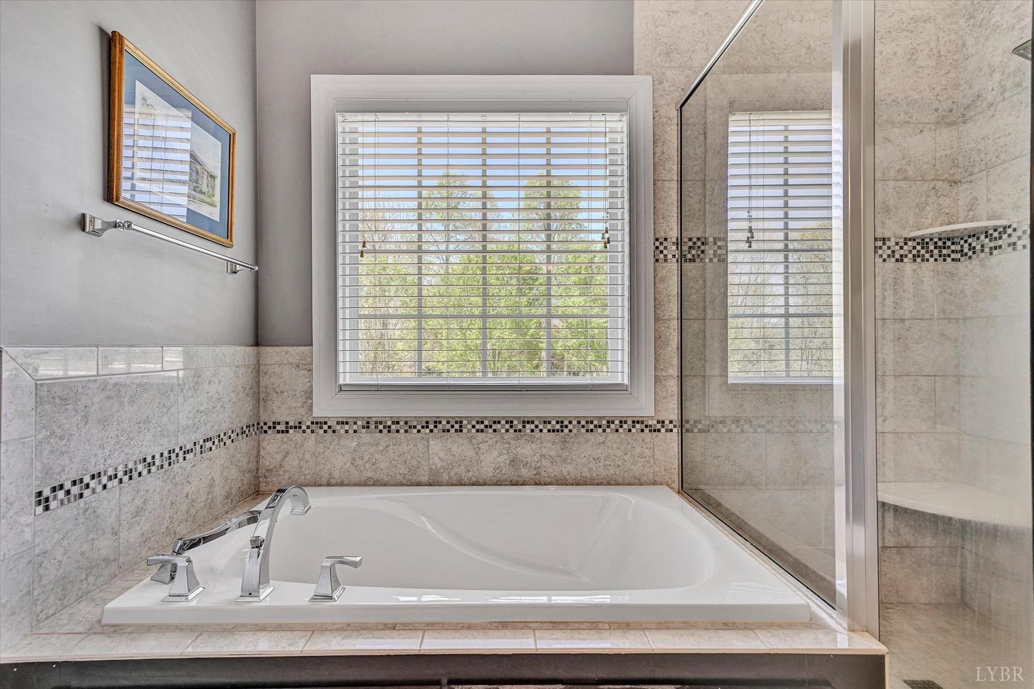 1062 Ivy Creek Drive, Forest, Virginia image 15