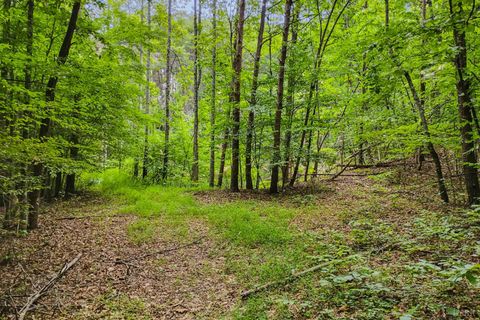 Tiny photo for 0 550 Mitchell Road Rd, Axton, VA 24504 (MLS # 364605)