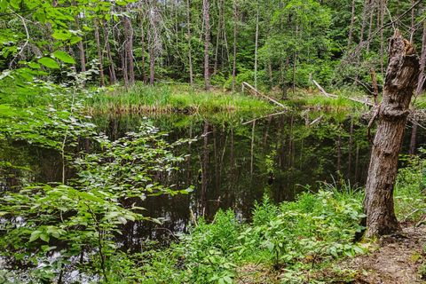 Tiny photo for 0 550 Mitchell Road Rd, Axton, VA 24504 (MLS # 364605)