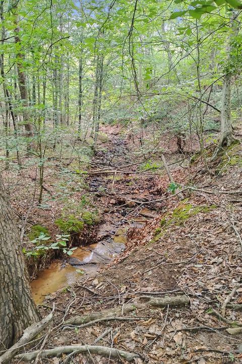 Tiny photo for 0 550 Mitchell Road Rd, Axton, VA 24504 (MLS # 364605)