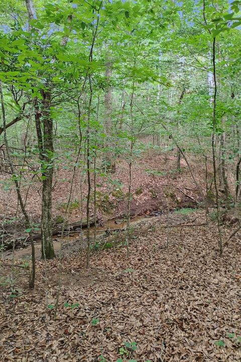 Tiny photo for 0 550 Mitchell Road Rd, Axton, VA 24504 (MLS # 364605)