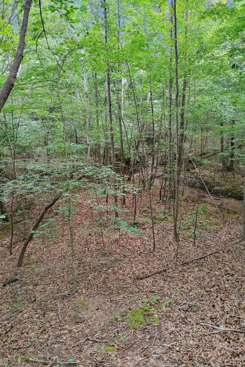 Tiny photo for 0 550 Mitchell Road Rd, Axton, VA 24504 (MLS # 364605)