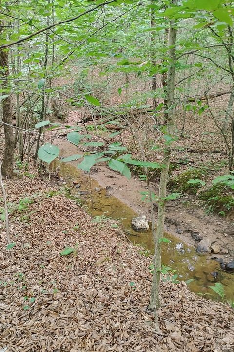 Tiny photo for 0 550 Mitchell Road Rd, Axton, VA 24504 (MLS # 364605)