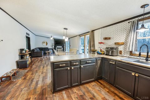 Tiny photo for 339 Plain Ridge Drive, Evington, VA 24550 (MLS # 364867)